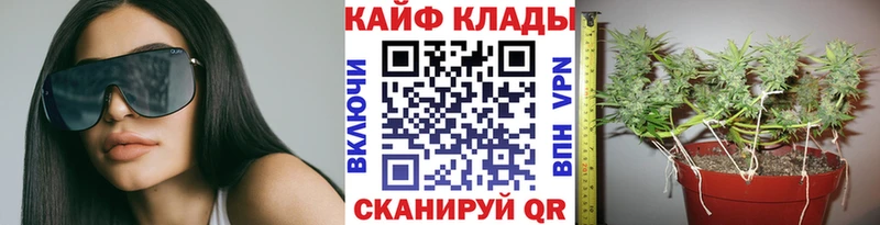 Купить наркоту Котлас ГАШ  АМФ  Cocaine  МЕФ  Каннабис 