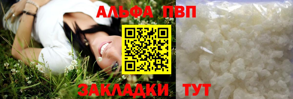 Альфа ПВП СК Котлас