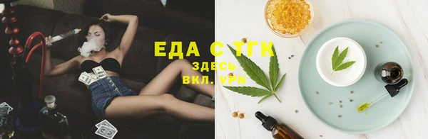 гашик Нефтекумск