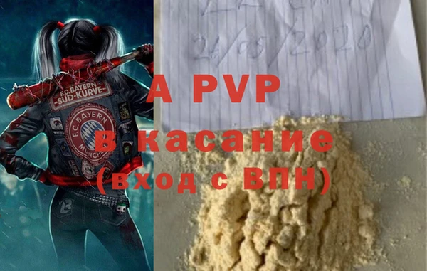 гашик Нефтекумск
