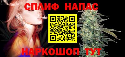 мдпв Беслан