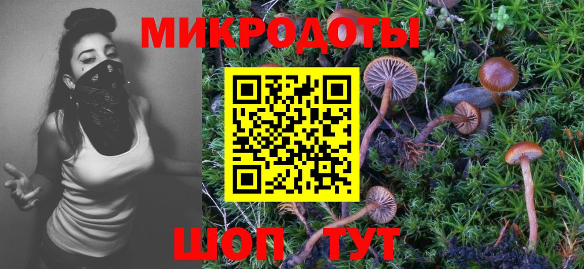 Котлас  Галлюциногенные грибы Cubensis  Вход с VPN 
