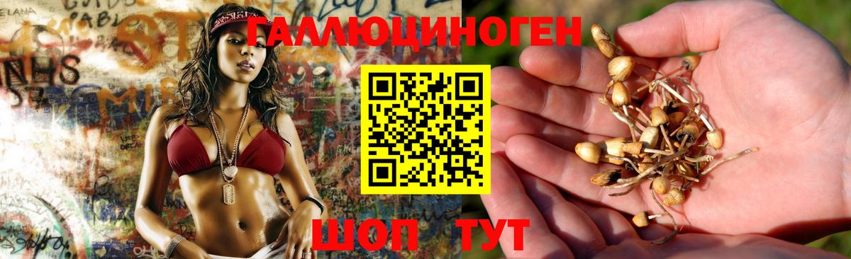 Галлюциногенные грибы ЛСД Котлас
