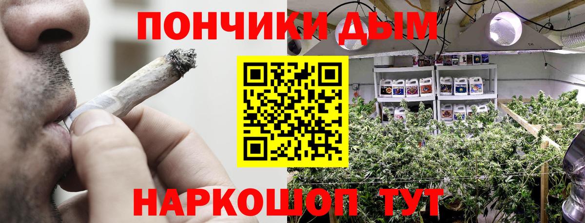 Бошки Шишки Ganja  Вход с VPN  Котлас  Бошки Шишки индика  Каннабис сатива 